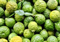 Phát Cuồng” Với Công Dụng Của Lá Chanh Chúc Kaffir Lime