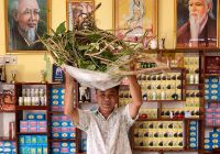 Dây thần thông vua của thuốc
