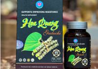 GIẢI PHÁP MỚI HỖ TRỢ NÂNG CAO SỨC ĐỀ KHÁNG