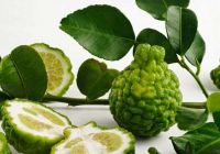 Trái Cây Kỳ Diệu - Chanh Chúc Kaffir Lime