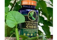 Lợi ích của Cissus Quadrangularis