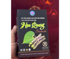 HOA QUANG GUDUCHI