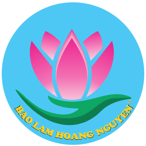NAM DUOC NGOC BAO